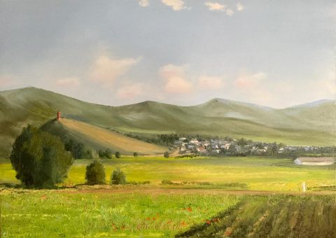 Мец Парни (продана)